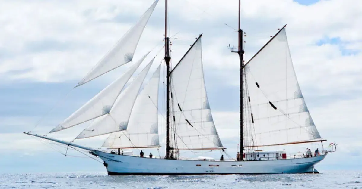 Café William Embarks on Historic Voyage with the Largest Sailing Cargo Ship of the 21st Century: A Sustainable Journey of Coffee Beans from Colombia to Québec