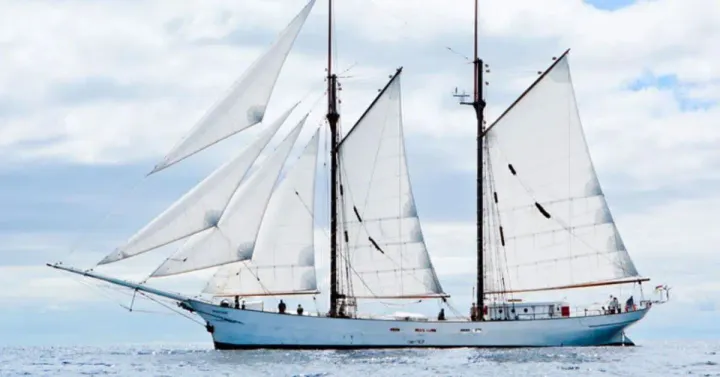 Café William Embarks on Historic Voyage with the Largest Sailing Cargo Ship of the 21st Century: A Sustainable Journey of Coffee Beans from Colombia to Québec